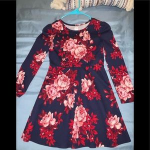 Little girls Gap long sleeve dress size 8